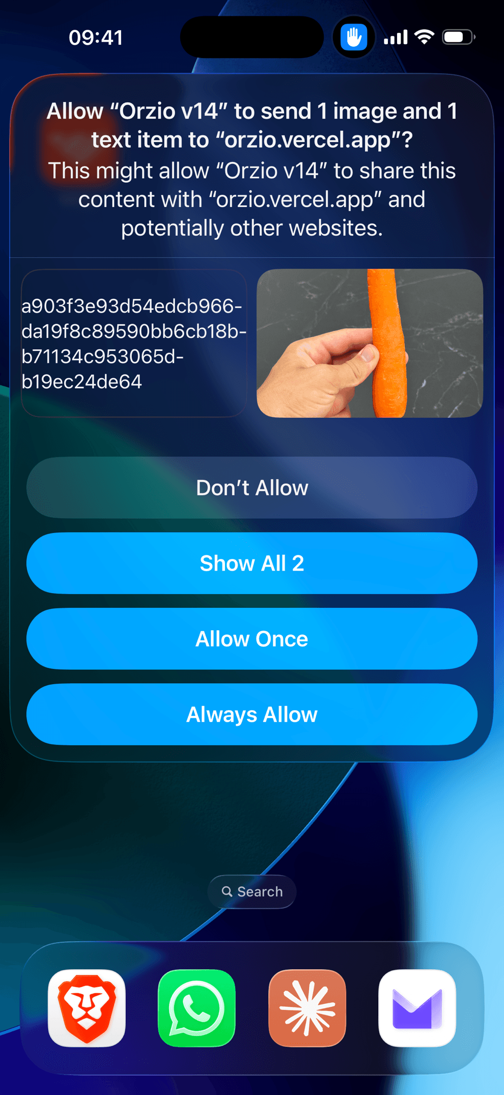 The first-run permission dialog asking to send the photo to orzio.thatlev.com - tap Always Allow